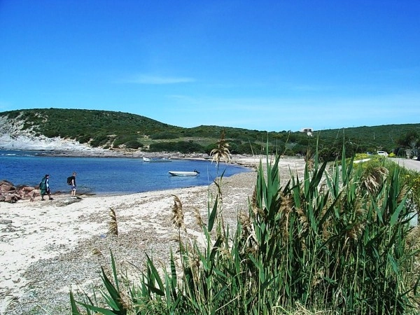 zobacz camping - zdjęcie 12