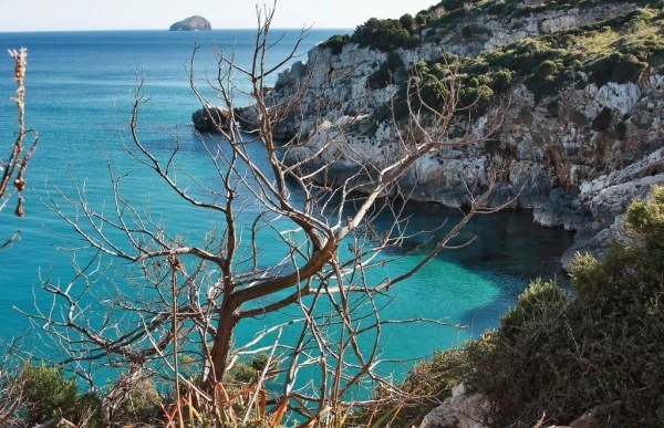 zobacz camping - zdjęcie 8