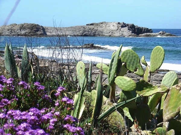 zobacz camping - zdjęcie 4