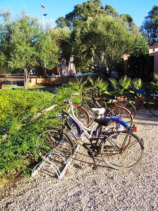 zobacz camping - zdjęcie 22