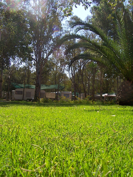 zobacz camping - zdjęcie 13