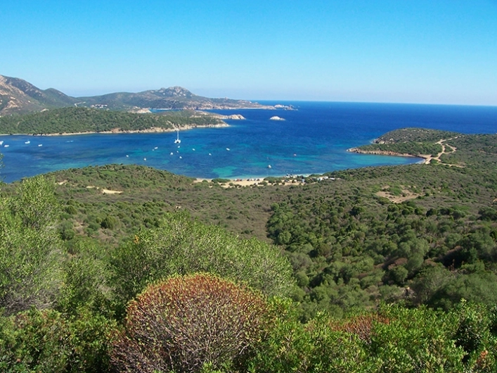 zobacz camping - zdjęcie 10