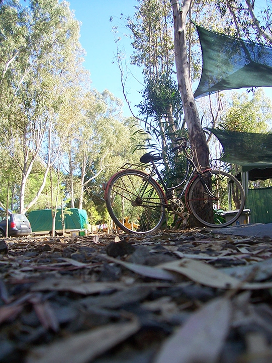 zobacz camping - zdjęcie 4