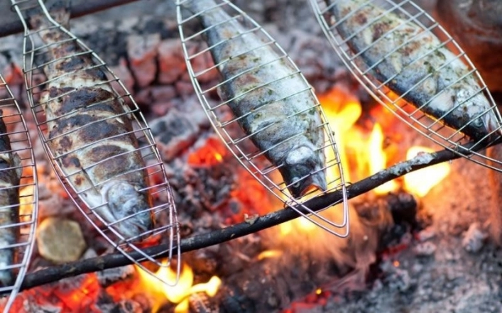 zobacz camping - zdjęcie 38