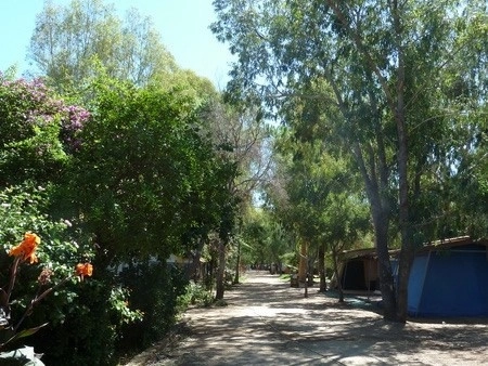 zobacz camping - zdjęcie 13