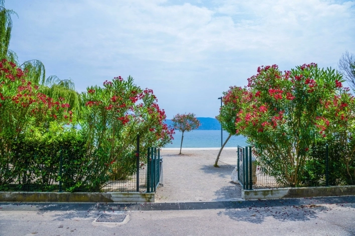 zobacz camping - zdjęcie 11