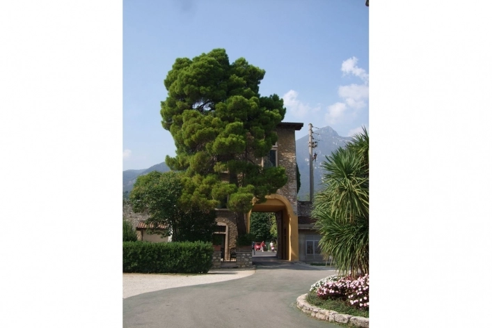 zobacz camping - zdjęcie 7