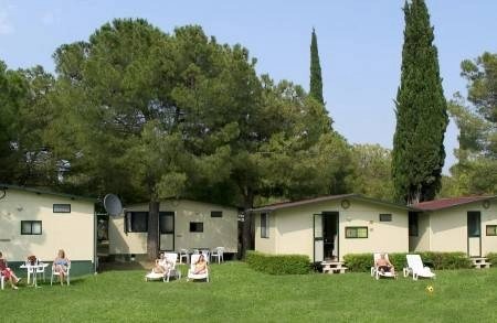 zobacz camping - zdjęcie 2