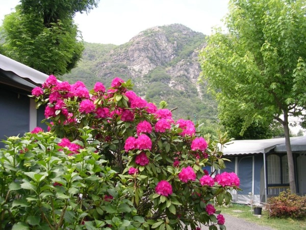 zobacz camping - zdjęcie 16