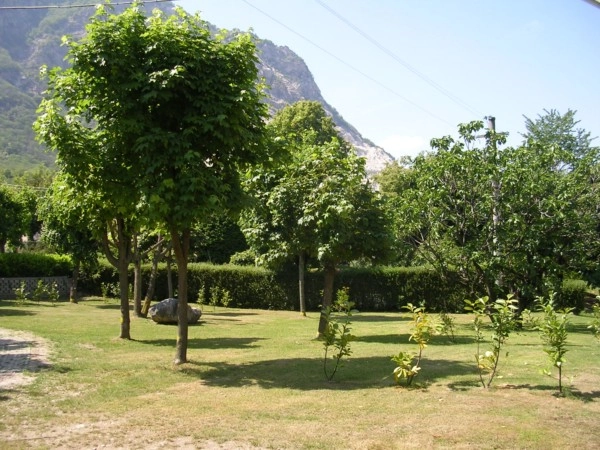 zobacz camping - zdjęcie 5