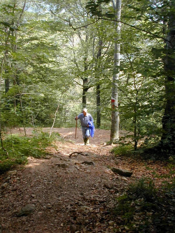 zobacz camping - zdjęcie 23