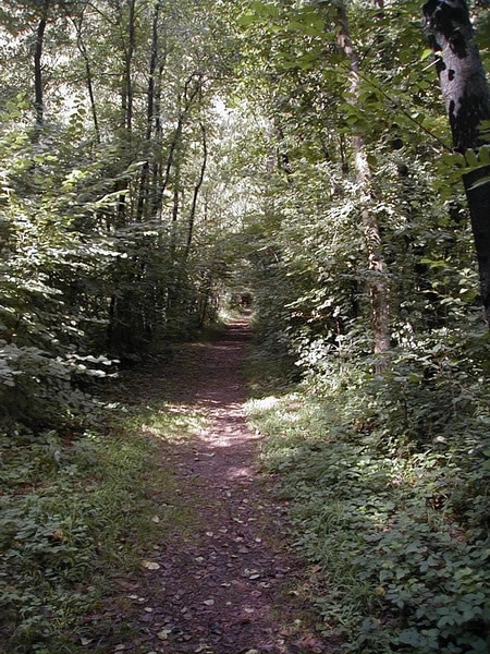 Campeggio Tre Lago - zdjęcie 3