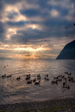 zobacz camping - zdjęcie 21