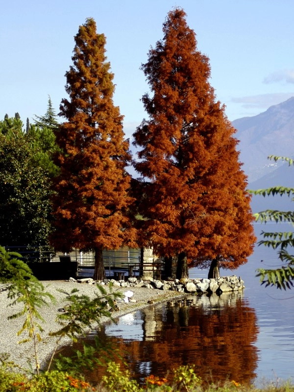 zobacz camping - zdjęcie 13