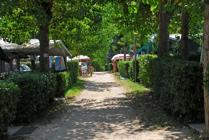 zobacz camping - zdjęcie 22