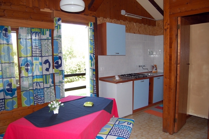 zobacz camping - zdjęcie 16