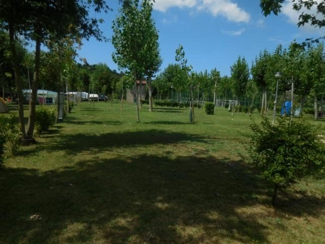 zobacz camping - zdjęcie 6