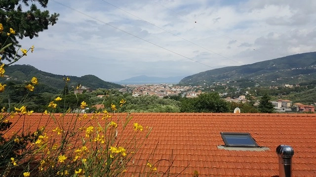 zobacz camping - zdjęcie 45