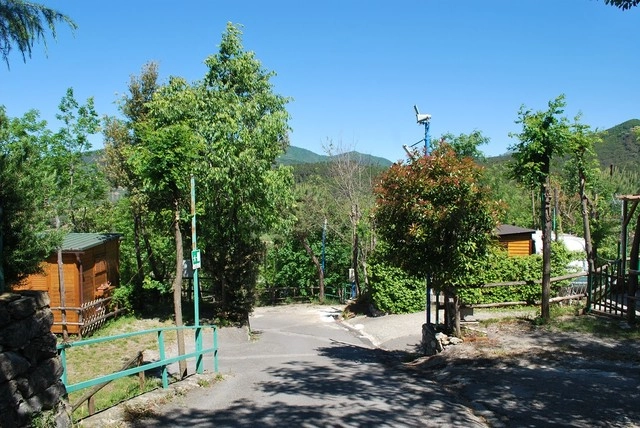 zobacz camping - zdjęcie 43