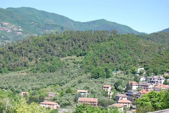 zobacz camping - zdjęcie 40