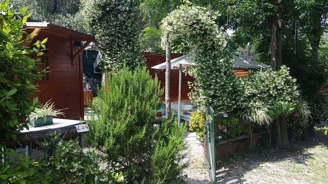 zobacz camping - zdjęcie 38