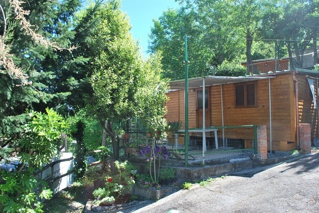 zobacz camping - zdjęcie 33