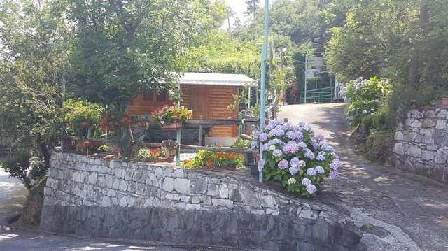 zobacz camping - zdjęcie 29