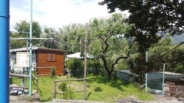 zobacz camping - zdjęcie 28