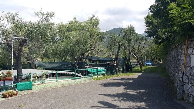 zobacz camping - zdjęcie 26