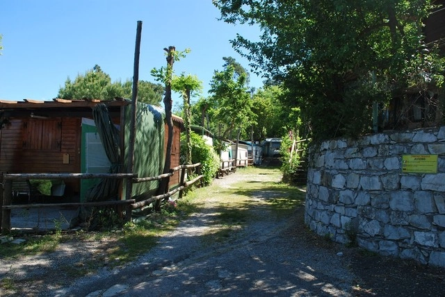 zobacz camping - zdjęcie 23