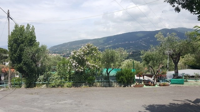 zobacz camping - zdjęcie 21