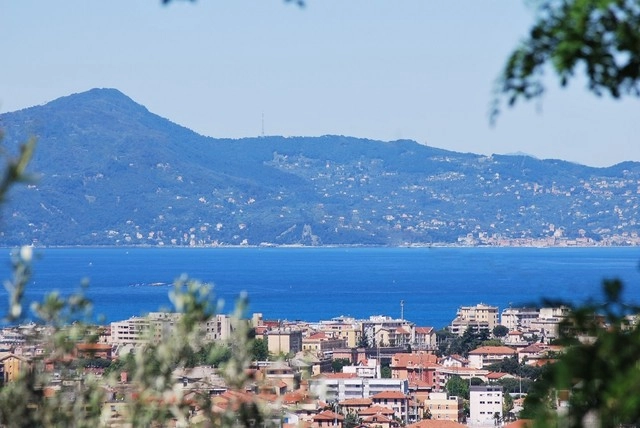 zobacz camping - zdjęcie 18