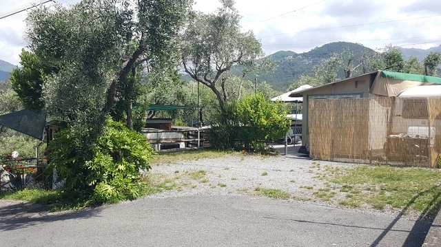 zobacz camping - zdjęcie 14