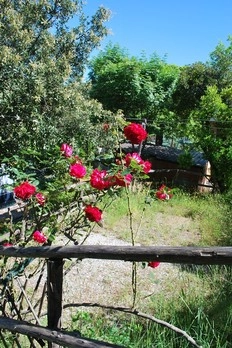 Campeggio Trigoso - zdjęcie 1