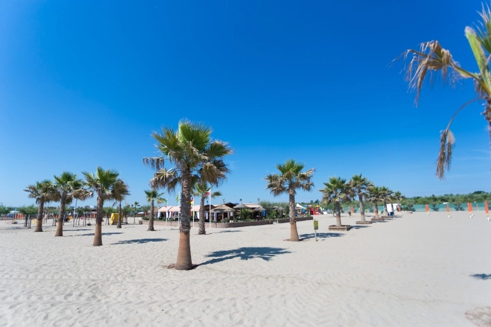 zobacz camping - zdjęcie 17