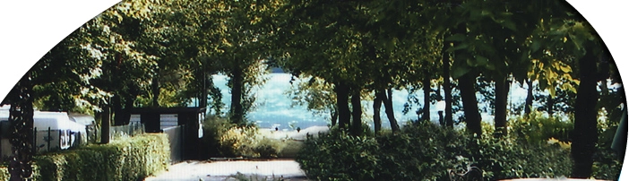 zobacz camping - zdjęcie 13