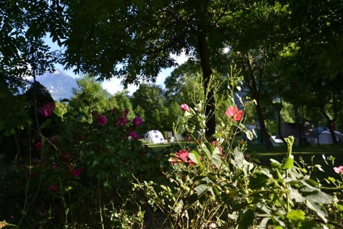 zobacz camping - zdjęcie 33