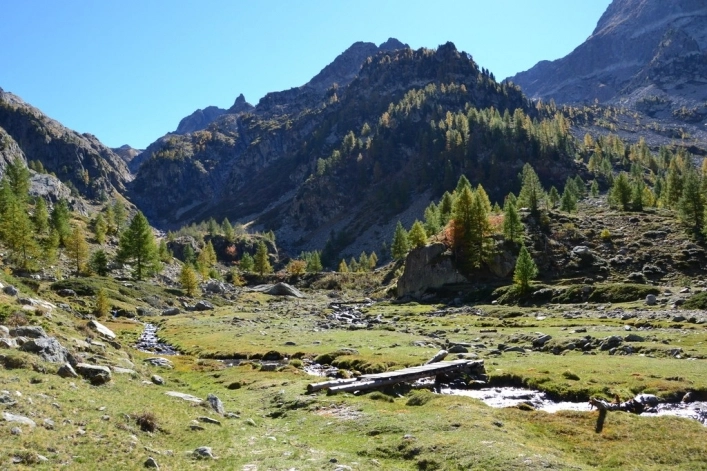 zobacz camping - zdjęcie 24