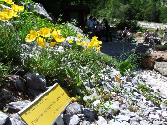 zobacz camping - zdjęcie 22