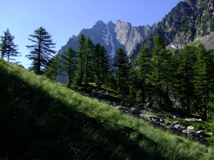 Campeggio Valle Gesso - zdjęcie 4