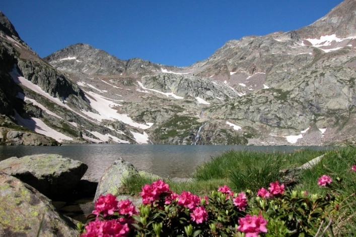 Campeggio Valle Gesso - zdjęcie 3