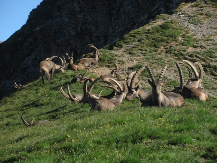 Campeggio Valle Gesso - zdjęcie 1