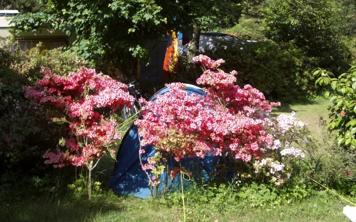 zobacz camping - zdjęcie 33