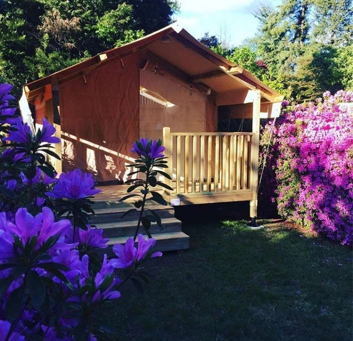 zobacz camping - zdjęcie 25