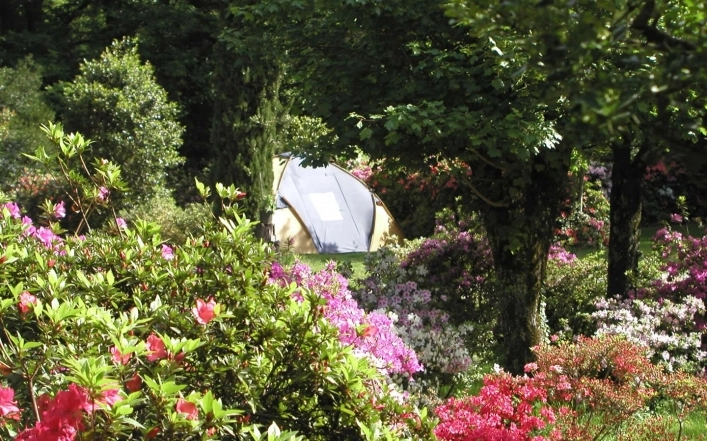 zobacz camping - zdjęcie 24