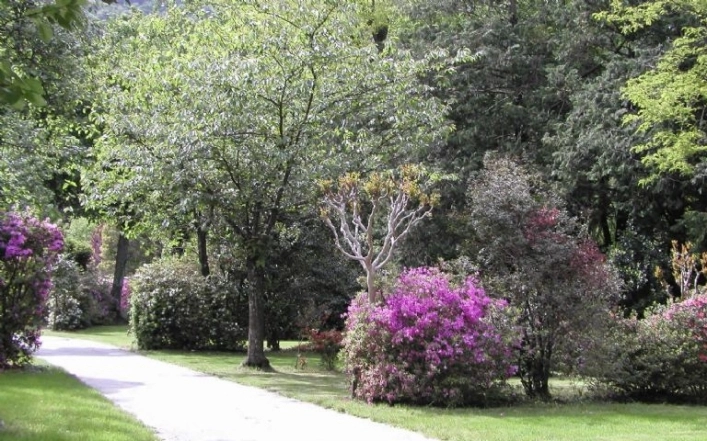 zobacz camping - zdjęcie 18