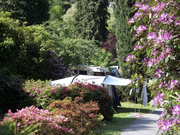 zobacz camping - zdjęcie 7