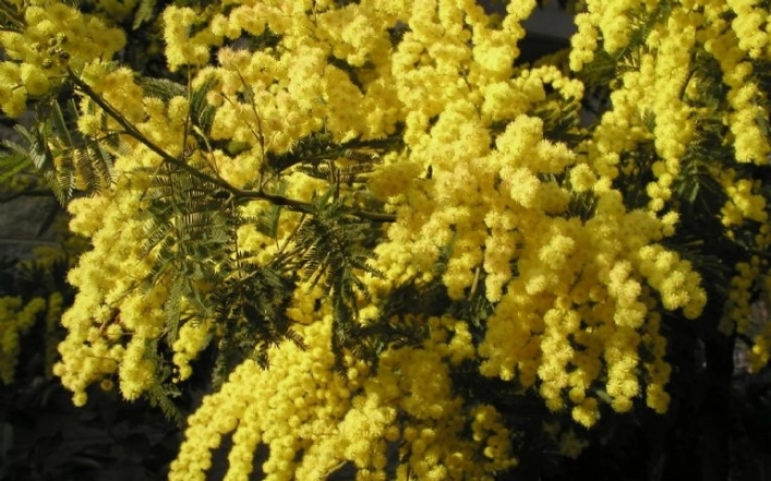 zobacz camping - zdjęcie 1