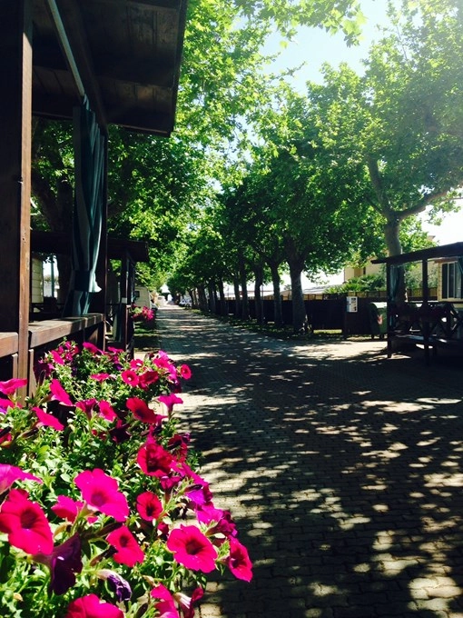 zobacz camping - zdjęcie 16