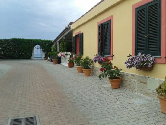 zobacz camping - zdjęcie 9